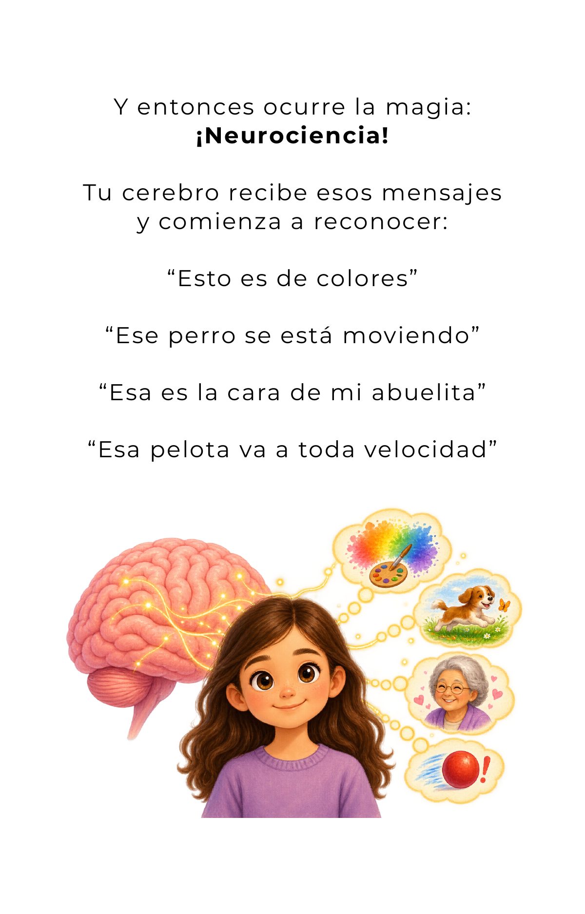 Y entonces ocurre la magia: ¡neurociencia! Tu cerebro recibe esos mensajes y comienza a reconocer: “Esto es de colores”, “Ese perro se está moviendo”, “Esa es la cara de mi abuelita”, “Esa pelota va a toda velocidad”.