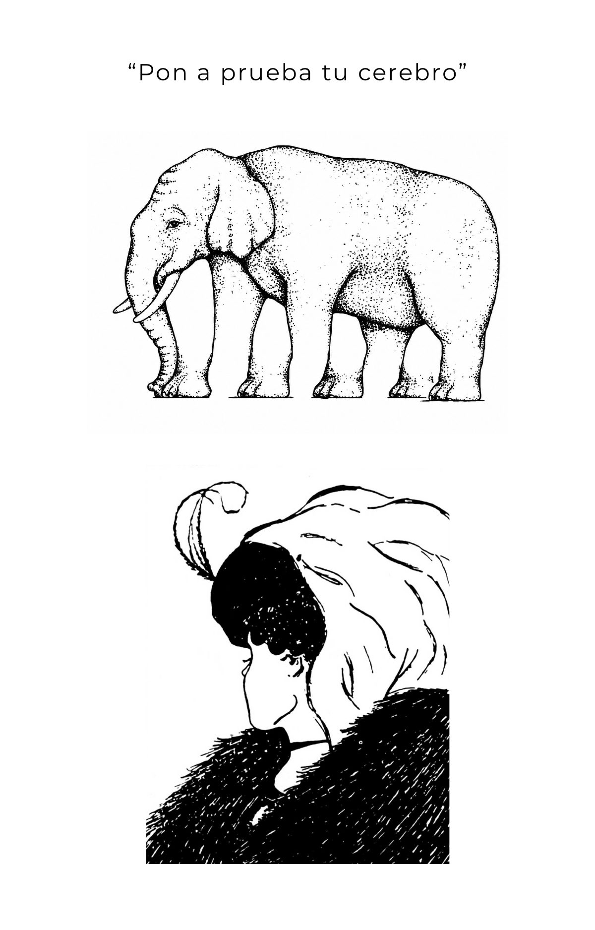 Pon a prueba tu cerebro. Ilusión óptica: un elefante cuyas patas parecen no terminar nunca, y una figura que puede verse de dos maneras distintas.