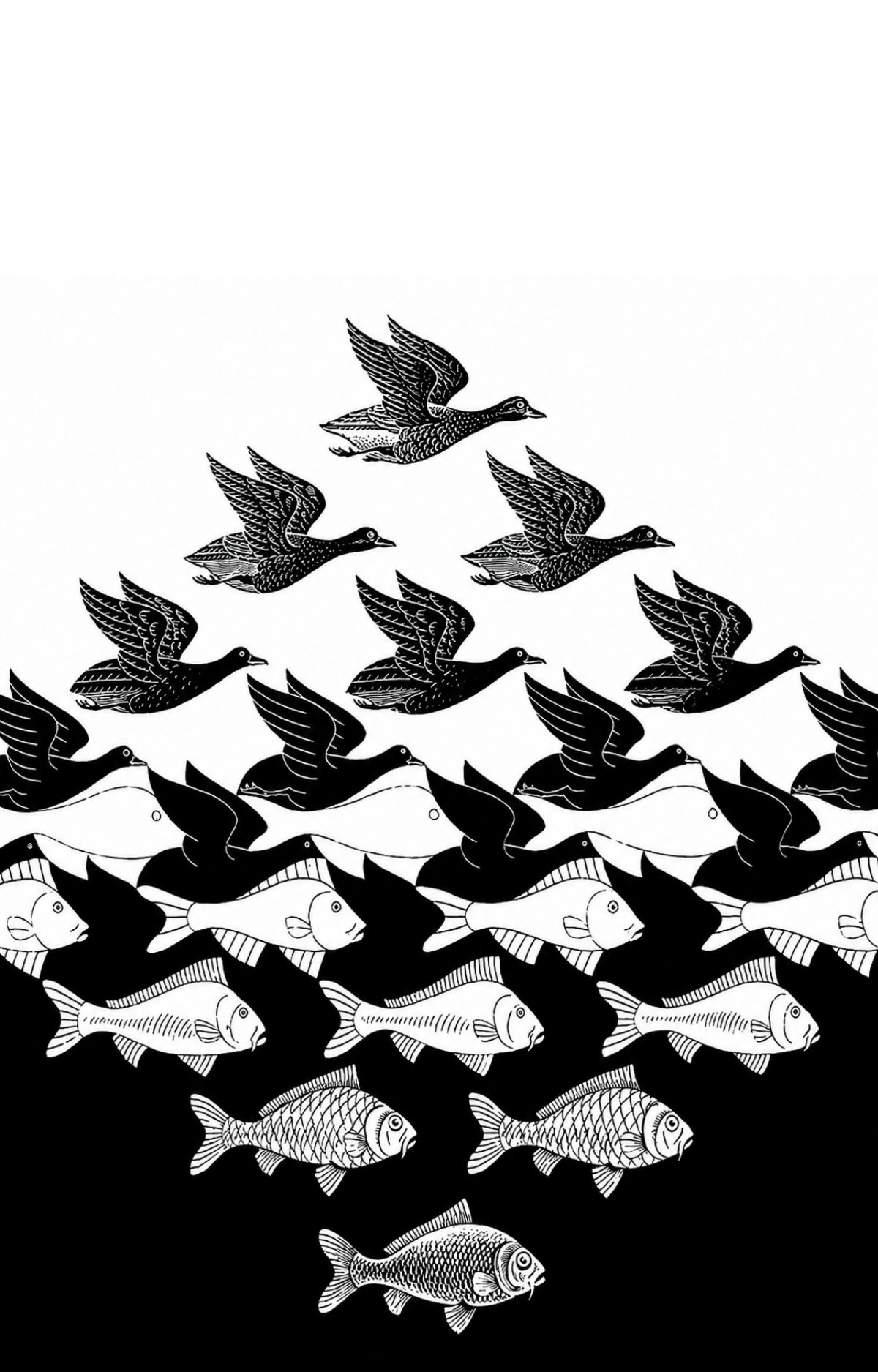 Ilusión óptica: una bandada de aves que, hacia abajo, se transforma poco a poco en peces.